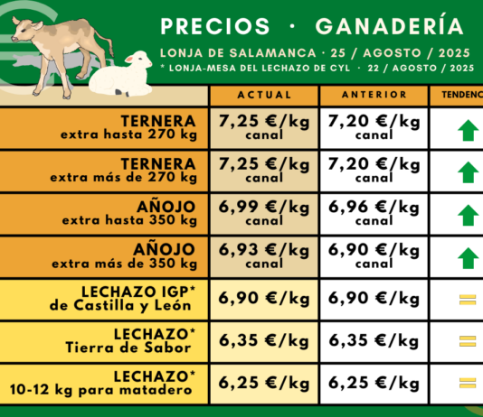 La carne marca un nuevo máximo en Salamanca mientras el lechazo mantiene su última cotización