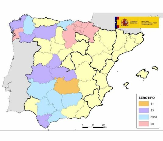 León, tercera provincia colindante con Palencia con presencia de lengua azul