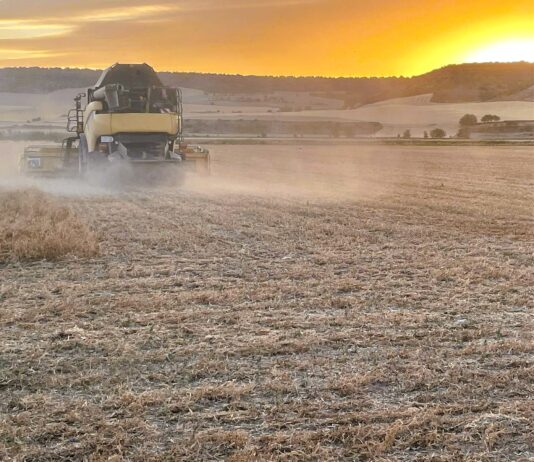 Conoce aquí en qué circunstancias se prohíben labores desde este lunes 4 por alerta de incendios