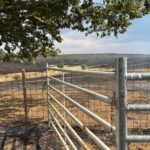 La Junta publica el listado de municipios y localidades afectados por grandes incendios forestales, donde se incluyen varios palentinos