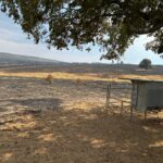 ASAJA destaca el papel clave de agricultores y ganaderos en la lucha contra los incendios y demanda un cambio en las políticas forestales