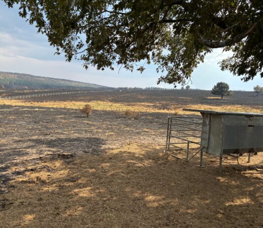 ASAJA destaca el papel clave de agricultores y ganaderos en la lucha contra los incendios y demanda un cambio en las políticas forestales
