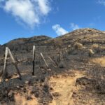 El Ministerio ordena el pago de las ayudas a los agricultores y ganaderos afectados por los incendios