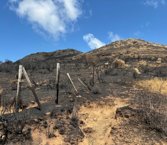 El Ministerio ordena el pago de las ayudas a los agricultores y ganaderos afectados por los incendios