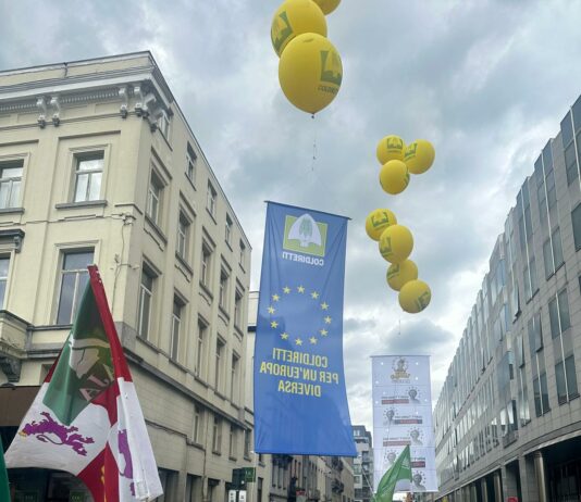 La Comisión Europea pretende jubilar la PAC después de sus 65 años de historia