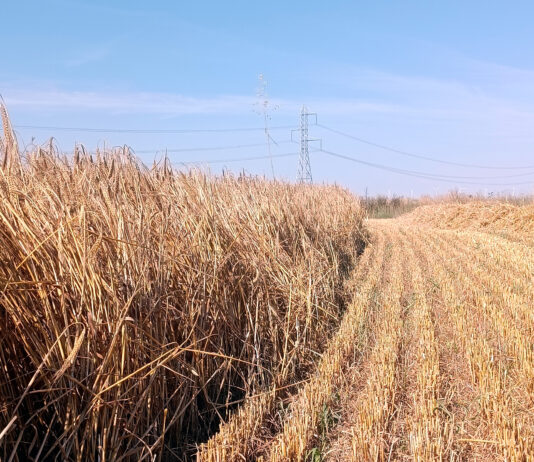 Te contamos cómo fue el tiempo de julio en Palencia: más cálido y más seco de lo habitual para este mes