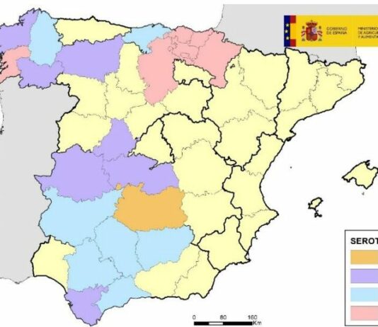 ASAJA exige medidas urgentes para paliar los graves daños de la lengua azul