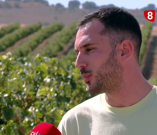 Campo Palentino | 18/SEPTIEMBRE/2025