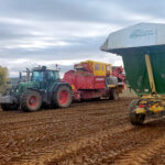 La superproducción mundial de patata sitúa el primer precio de la campaña 2025 por debajo de los costes