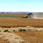 El XI Congreso ‘El Futuro del Cereal’ se celebra este miércoles 10 en Magaz de Pisuerga