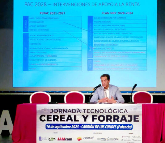 La Junta prevé empezar a pagar los anticipos de la PAC 2025 la segunda quincena de octubre