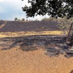 ASAJA ve injusto e ineficaz el sistema ministerial de las ayudas por los daños agrarios de los incendios