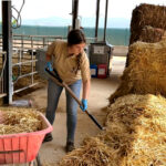 Las candidaturas al XI Premio Nacional Joven Agricultor pueden presentarse hasta el 15 de octubre
