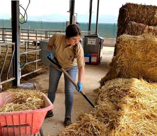 Las candidaturas al XI Premio Nacional Joven Agricultor pueden presentarse hasta el 15 de octubre