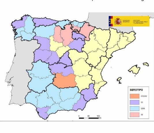 ASAJA-Palencia recomienda vacunar el ganado tras detectarse en la provincia casos de lengua azul