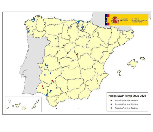Se activa un protocolo de control al confirmarse gripe aviar en una explotación de Olmedo (Valladolid)