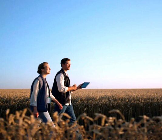 Martes 16, fecha tope para pedir la ayuda regional a los nuevos autónomos dados de alta en 2022 y 2023