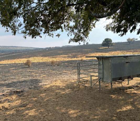 ASAJA-CyL valora las ayudas del Ministerio por los daños agroganaderos en los grandes incendios