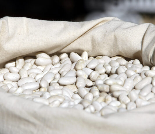 Saldaña celebra este fin de semana la Feria de la Alubia, que premiará al cocinero Javier Cuesta