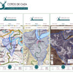 Fin del precinto de plástico en jabalí, que solo se rige ya con permiso en papel o la aplicación CapturCyL