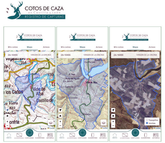 Fin del precinto de plástico en jabalí, que solo se rige ya con permiso en papel o la aplicación CapturCyL