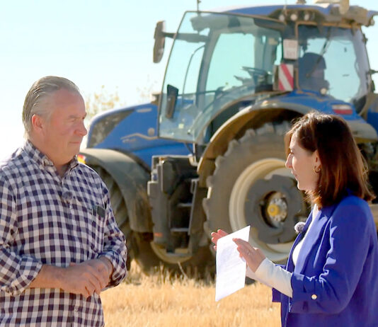 Campo Palentino | (9/OCTUBRE/2025)