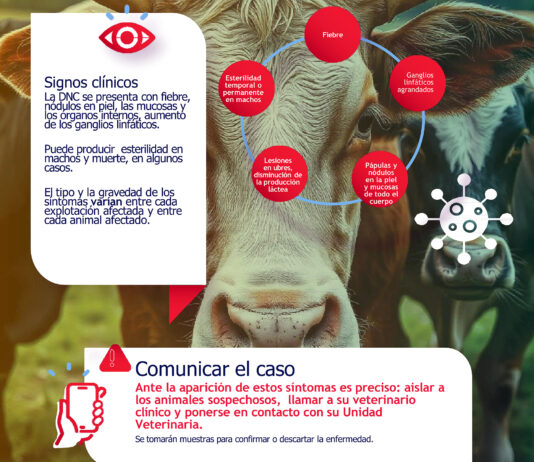 Campaña informativa de la Junta para reforzar la prevención y la vigilancia de la dermatosis bovina
