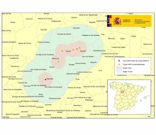 Una granja de pollos de Ataquines, séptimo foco de gripe aviar en la provincia de Valladolid