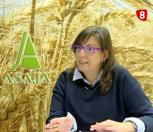 Campo Palentino | 23/OCTUBRE/2025