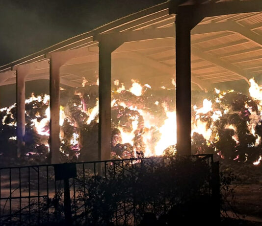 Declaración responsable de la ayuda para reconstruir instalaciones agrarias afectadas por los incendios