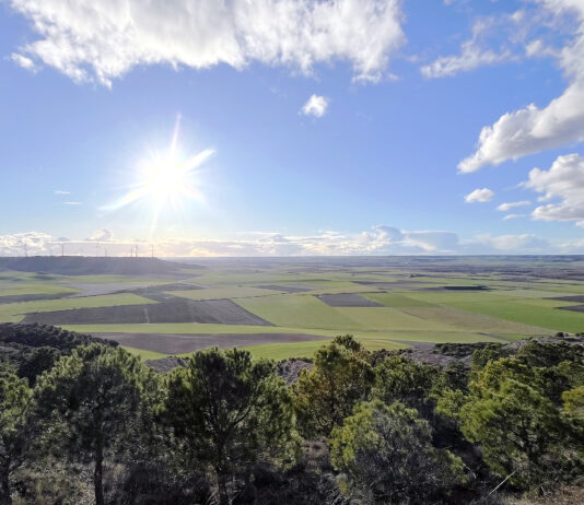 Unos 4400 agricultores palentinos reciben estos días el anticipo del 70 % de la PAC 2025