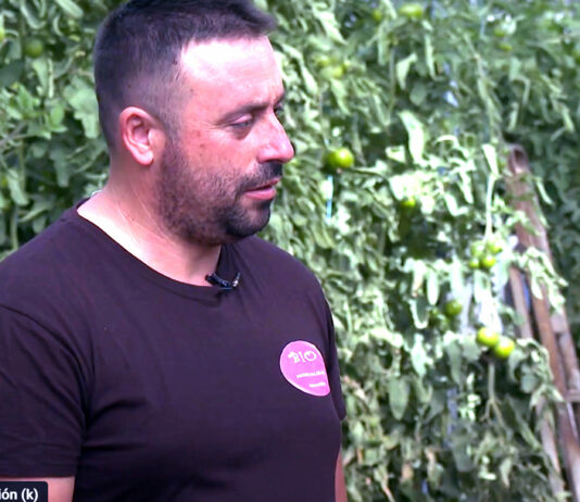 Campo Palentino | (2/OCTUBRE/2025)