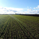 Bajadas importantes en algunos tramos en el importe provisional de los ecorregímenes de la PAC 2025