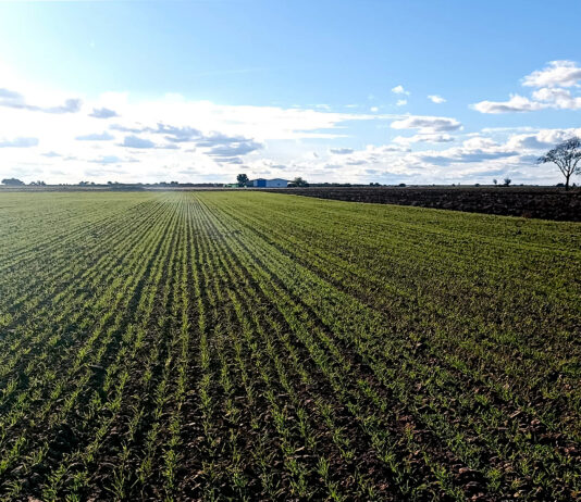 Bajadas importantes en algunos tramos en el importe provisional de los ecorregímenes de la PAC 2025