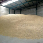 Cautela e inmovilismo en la Lonja de León, donde sólo se mueve la cebada, que gana un euro por tonelada