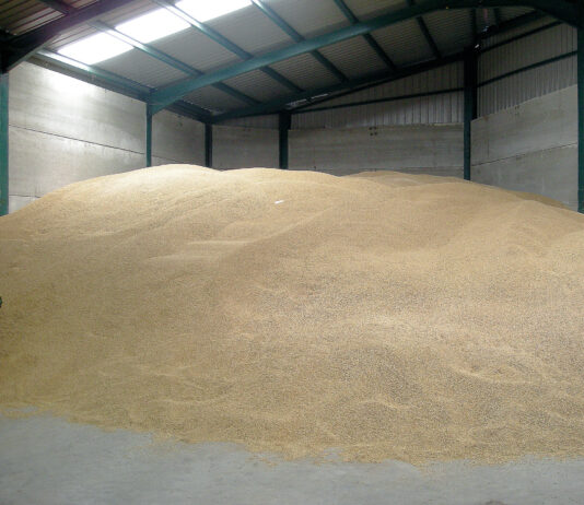 Cautela e inmovilismo en la Lonja de León, donde sólo se mueve la cebada, que gana un euro por tonelada