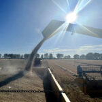 La retención de producto por unos precios que desaniman la venta reactiva la cotización del cereal