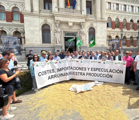 ASAJA denuncia que no se cubren los costes del cereal, según documenta la Universidad de Valladolid