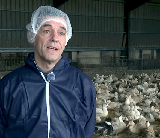 Campo Palentino | (20/NOVIEMBRE/2025)