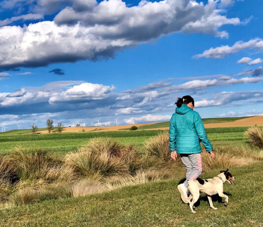 Palencia se alza con varios premios en los concursos infantil de pintura y juvenil de fotografía de ASAJA-CyL