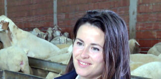 Campo Palentino | (13/NOVIEMBRE/2025)