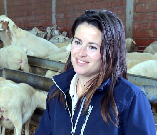 Campo Palentino | (13/NOVIEMBRE/2025)