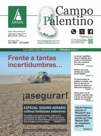 Campo Palentino | n.º 271 (Octubre 2025)