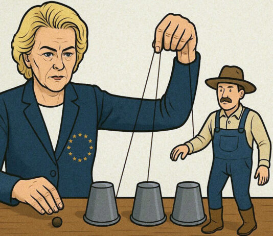 ASAJA critica a la trilera Comisión Europea por su nuevo criterio rural, que no oculta el recorte al campo