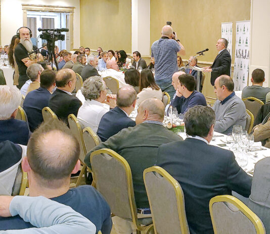 Campo Palentino | 18/DICIEMBRE/2025