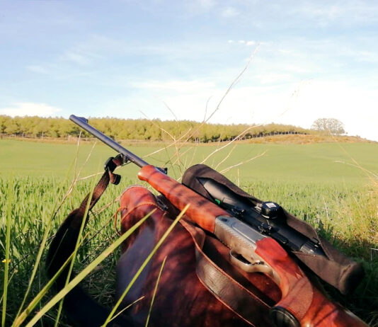 La Junta obliga al trámite electrónico de los planes cinegéticos, que estarán vigentes cinco temporadas