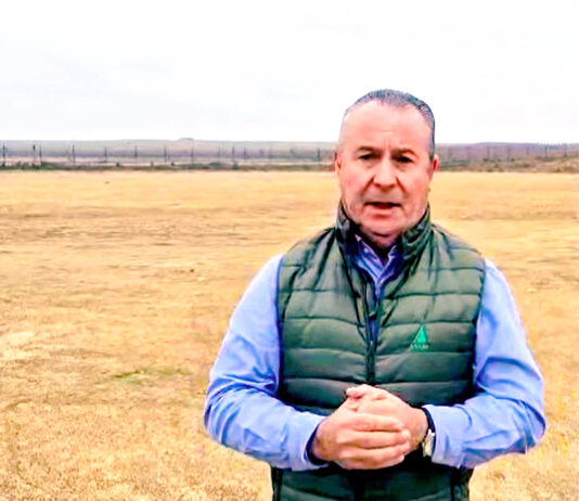 ASAJA-Castilla y León exige un control de censos de jabalíes para prevenir la peste porcina africana