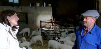 Campo Palentino | 11/DICIEMBRE/2025