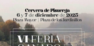Cervera celebra el sábado 6 y el domingo 7 su feria de ganado extensivo, pero sin muestra por la dermatosis