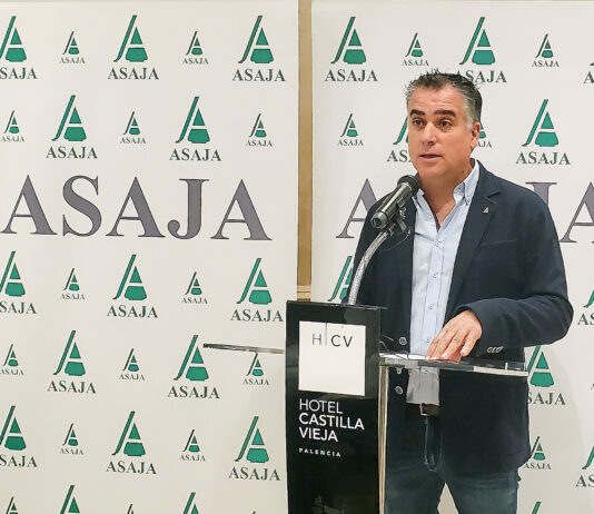 ASAJA-Palencia hace balance de un año agrario bueno en cosecha de cereal pero malo en rentabilidad